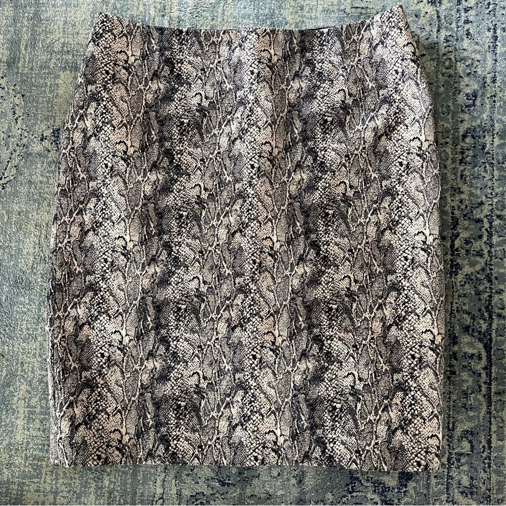 Talbots Skirt 12